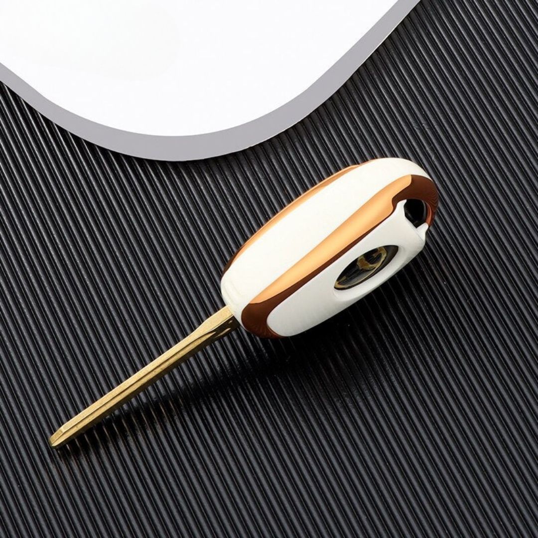 Custodia per Lexus GS (2 Pulsanti)