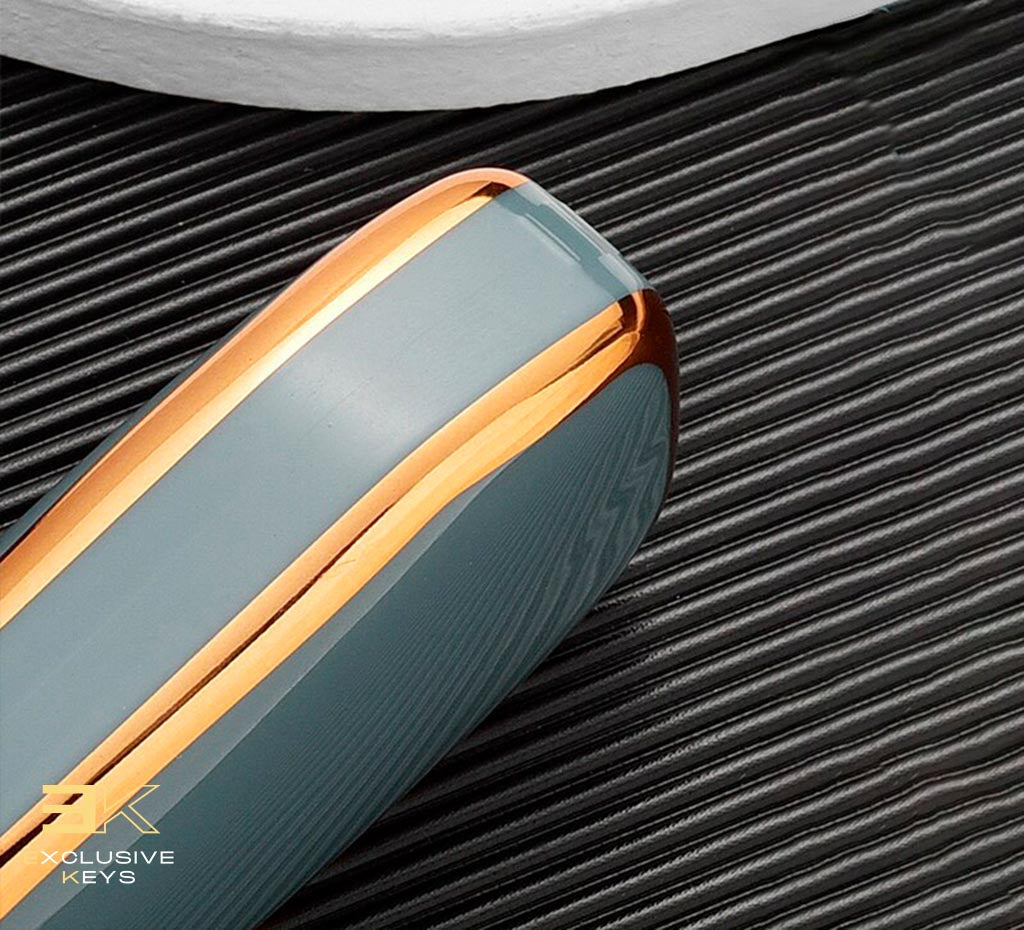 Custodia Per Ford Fusion, Fiesta, Mondeo, Ecosport, Kuga, Escort, Everest, Ranger, F150